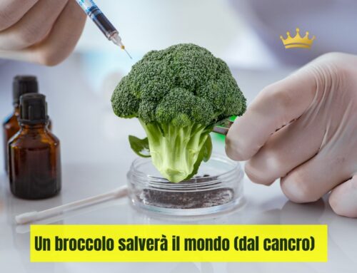 Un broccolo salverà il mondo (dal cancro)