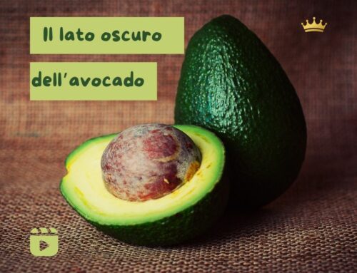 Il lato oscuro dell’avocado – video articolo