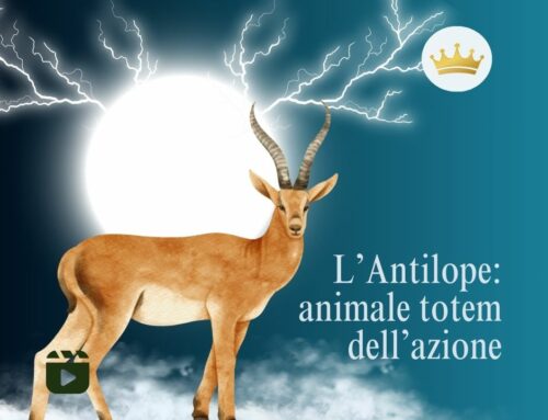 L’antilope: animale totem dell’azione