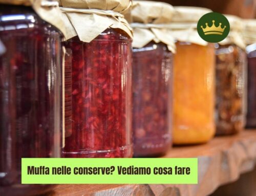 Muffa nelle conserve? Vediamo cosa fare