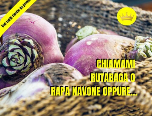 Chiamami rutabaga o rapa navone oppure…