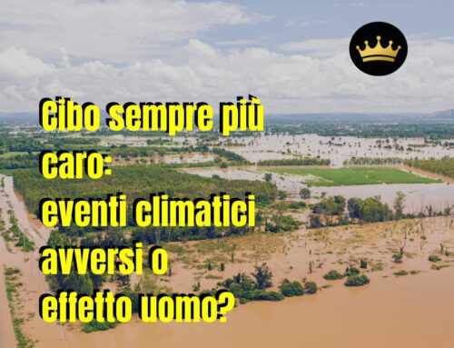 Cibo sempre più caro: eventi climatici avversi o effetto uomo?