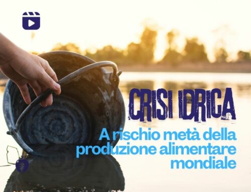 Crisi idrica: a rischio metà della produzione alimentare mondiale