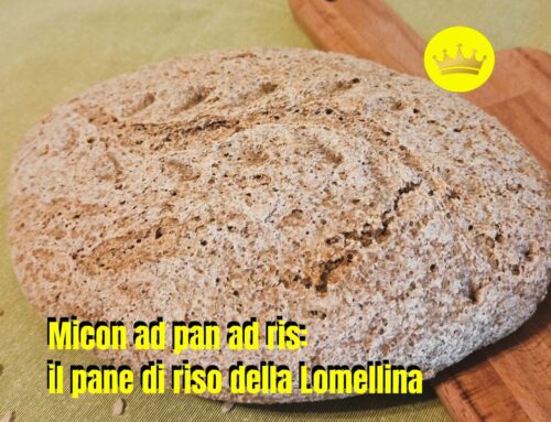 Micon ad pan ad ris: il pane di riso della Lomellina