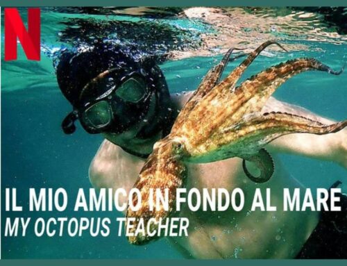 Octopus my teacher – Il mio amico in fondo al mare