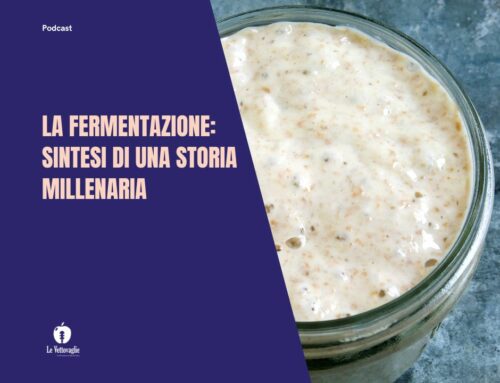 La Fermentazione: sintesi di una storia millenaria