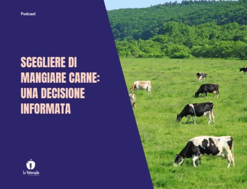 Scegliere di mangiare carne: una decisione informata