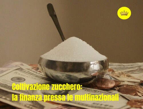 Coltivazione zucchero, la finanza pressa le multinazionali