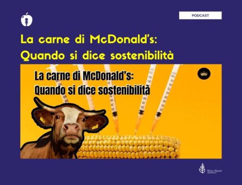 La carne di McDonald’s: quando si dice sostenibilità – podcast