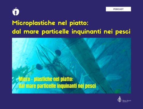 Microplastiche: dal mare particelle inquinanti nei pesci – PODCAST