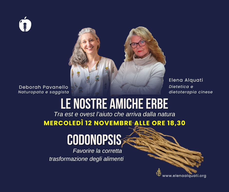 Evento online - Codopsis