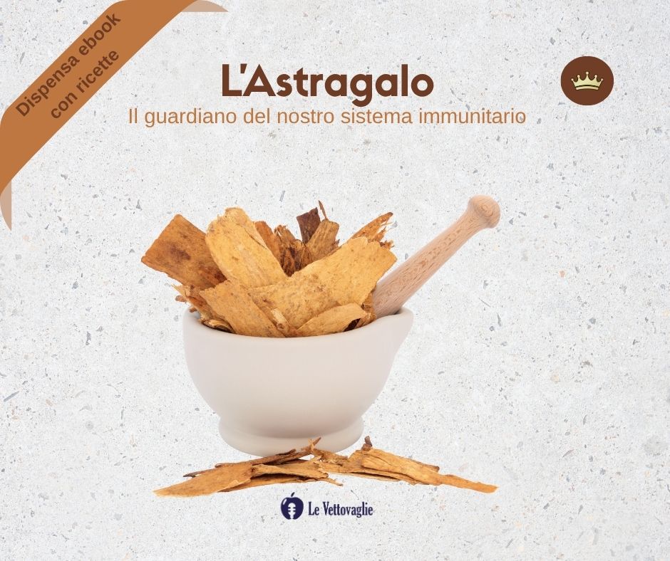 Dispensa ebook Astragalo
