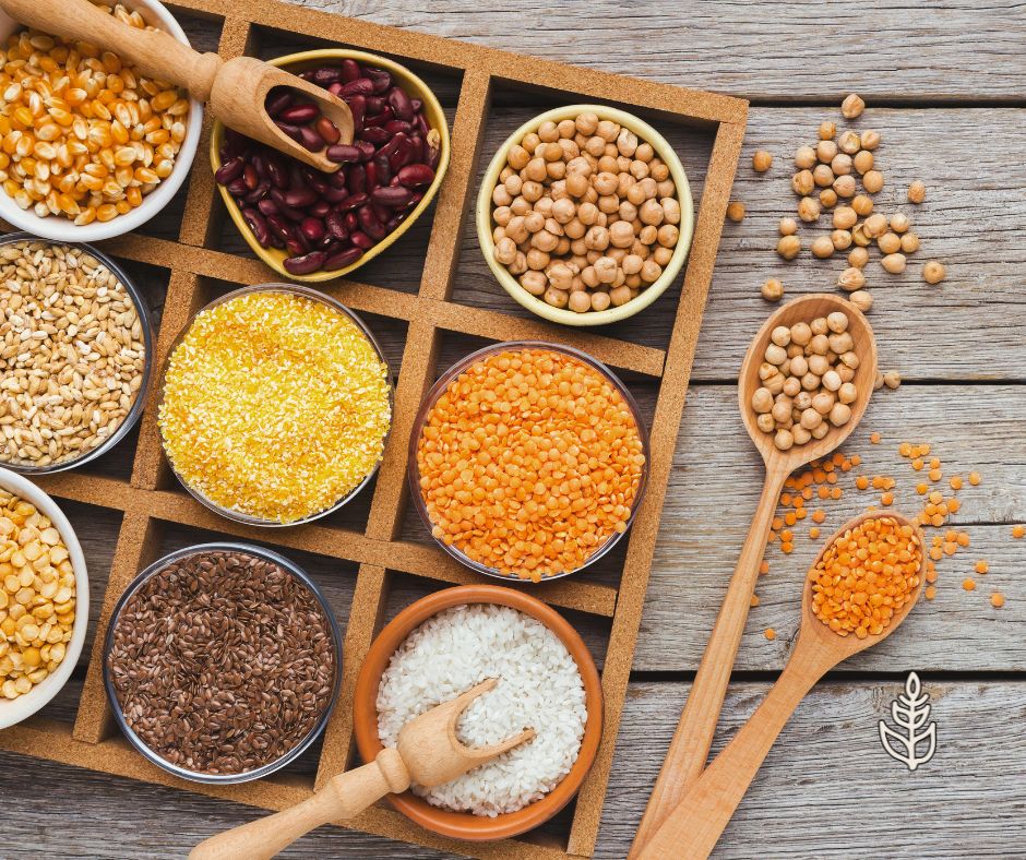 Cereali e legumi