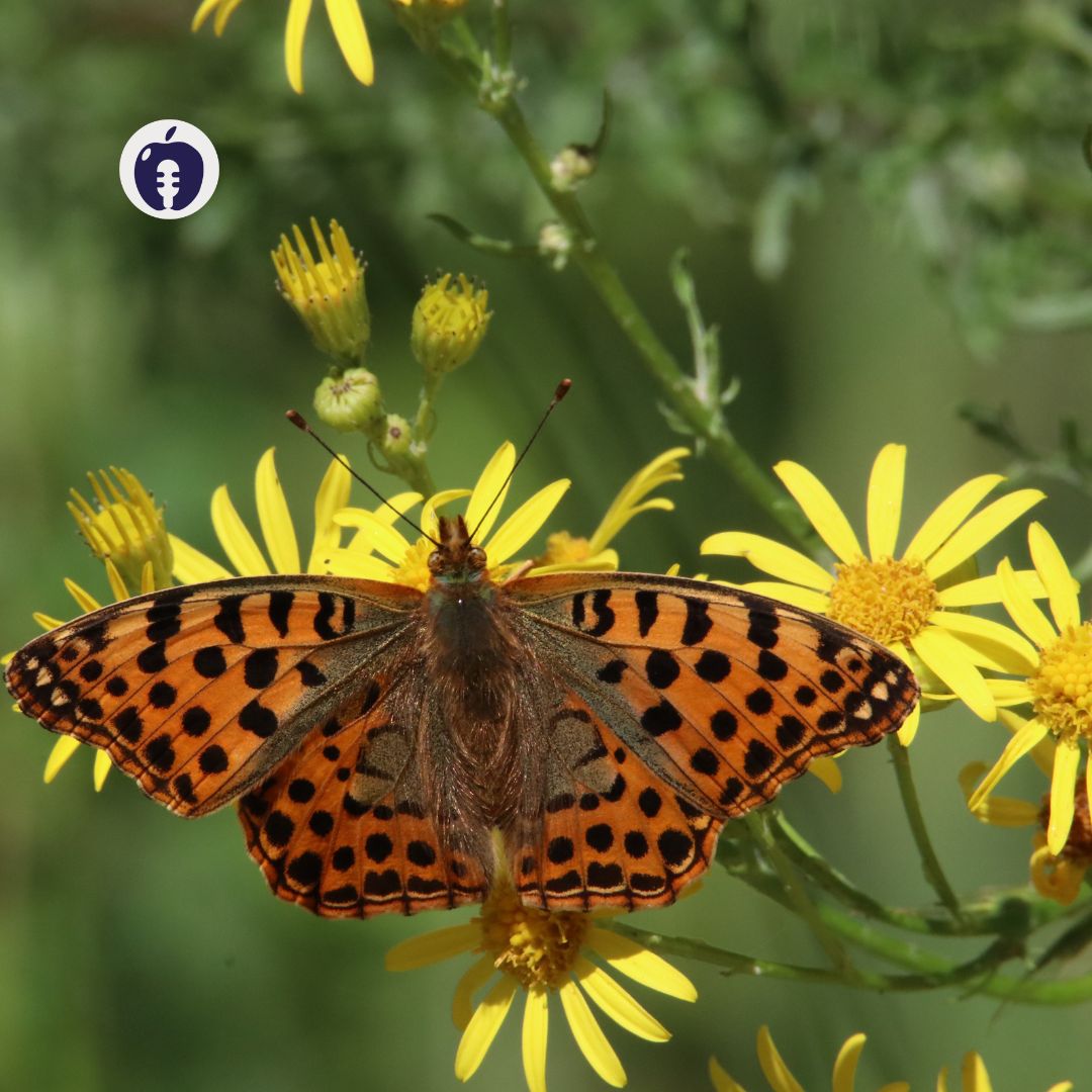 Agricoltura biosostenibile