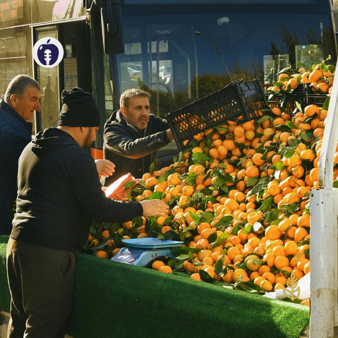 Arance italiane