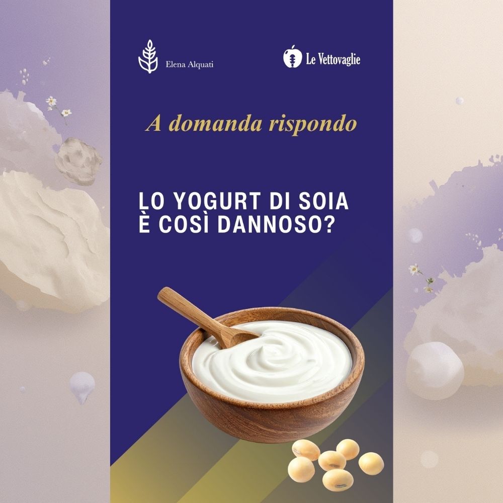 Yogurt di soia