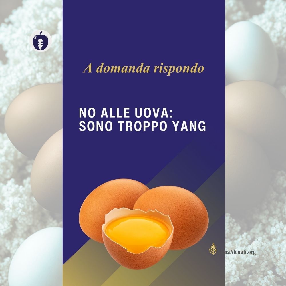 Si possono mangiare le uova?