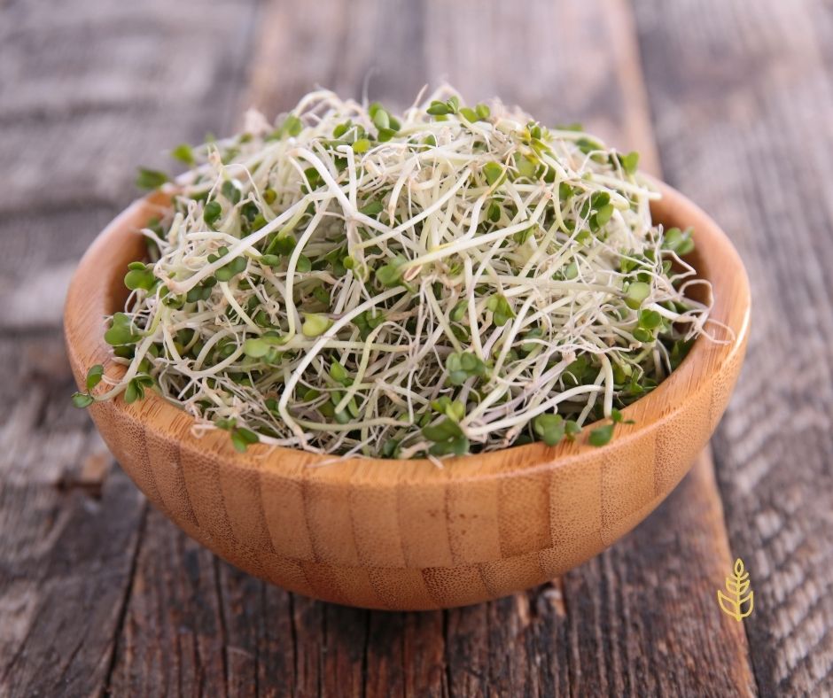 Parliamo di germogli