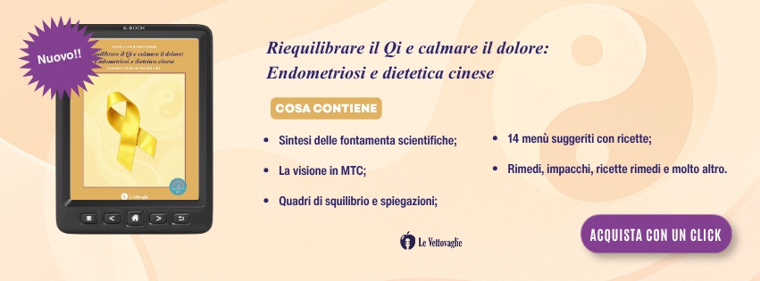 Endometriosi ebook